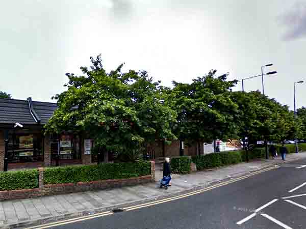 Street scene with trees