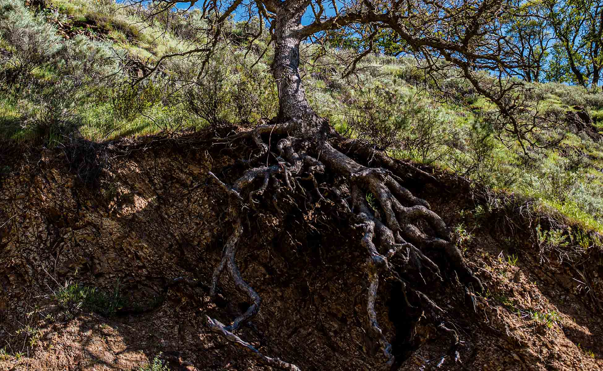 UNDERSTANDING SUBSIDENCE SHIFT